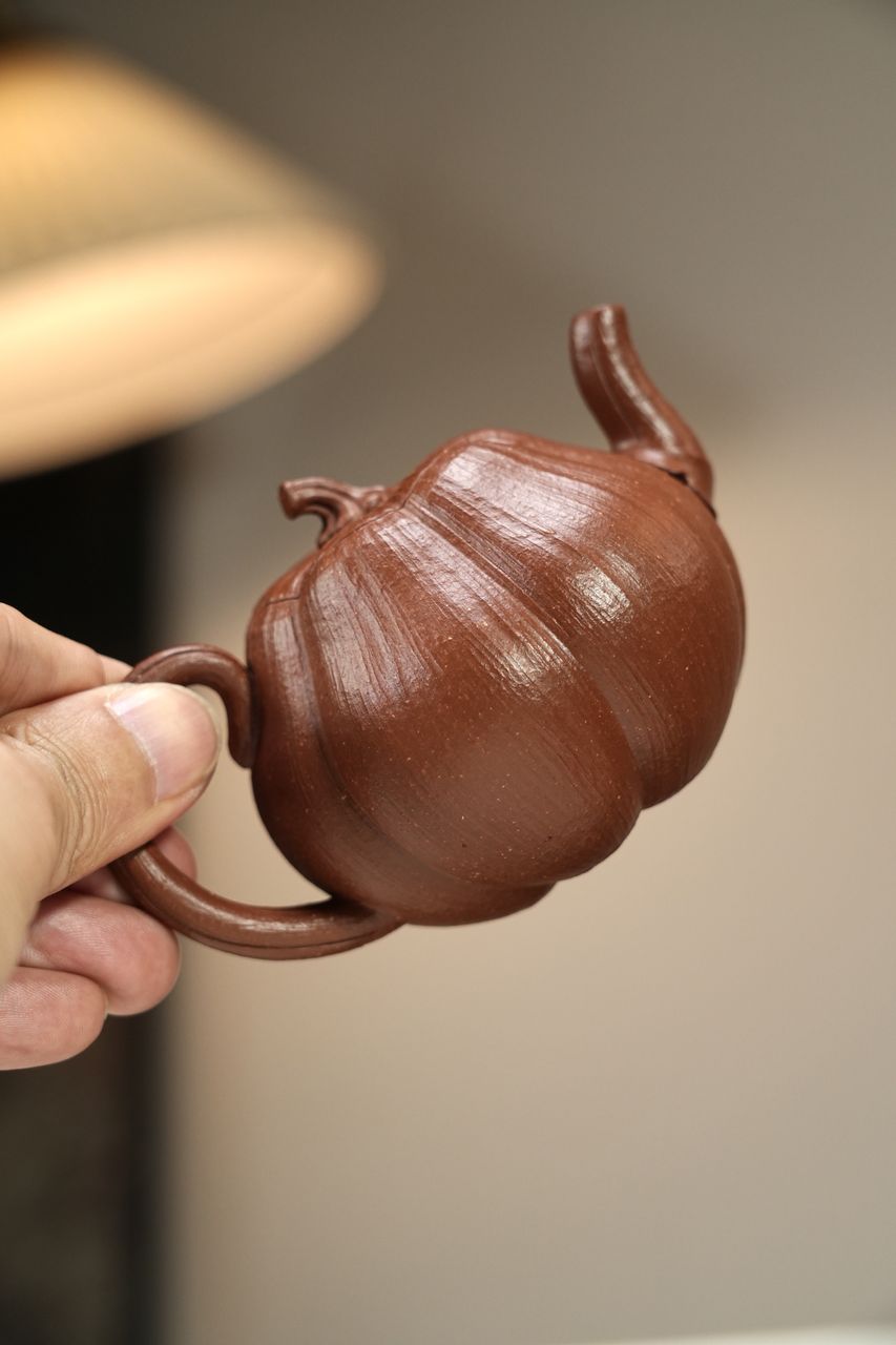 南瓜 實物圖 16