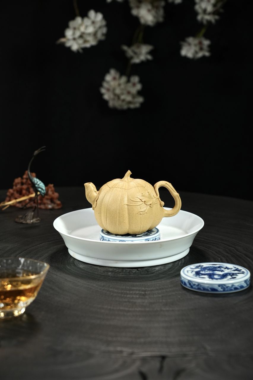 南瓜 實物圖 19