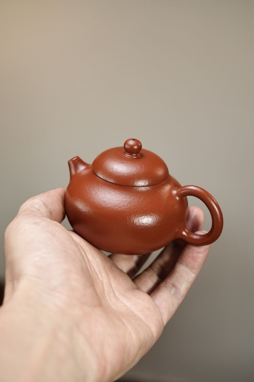 文旦 實物圖 3