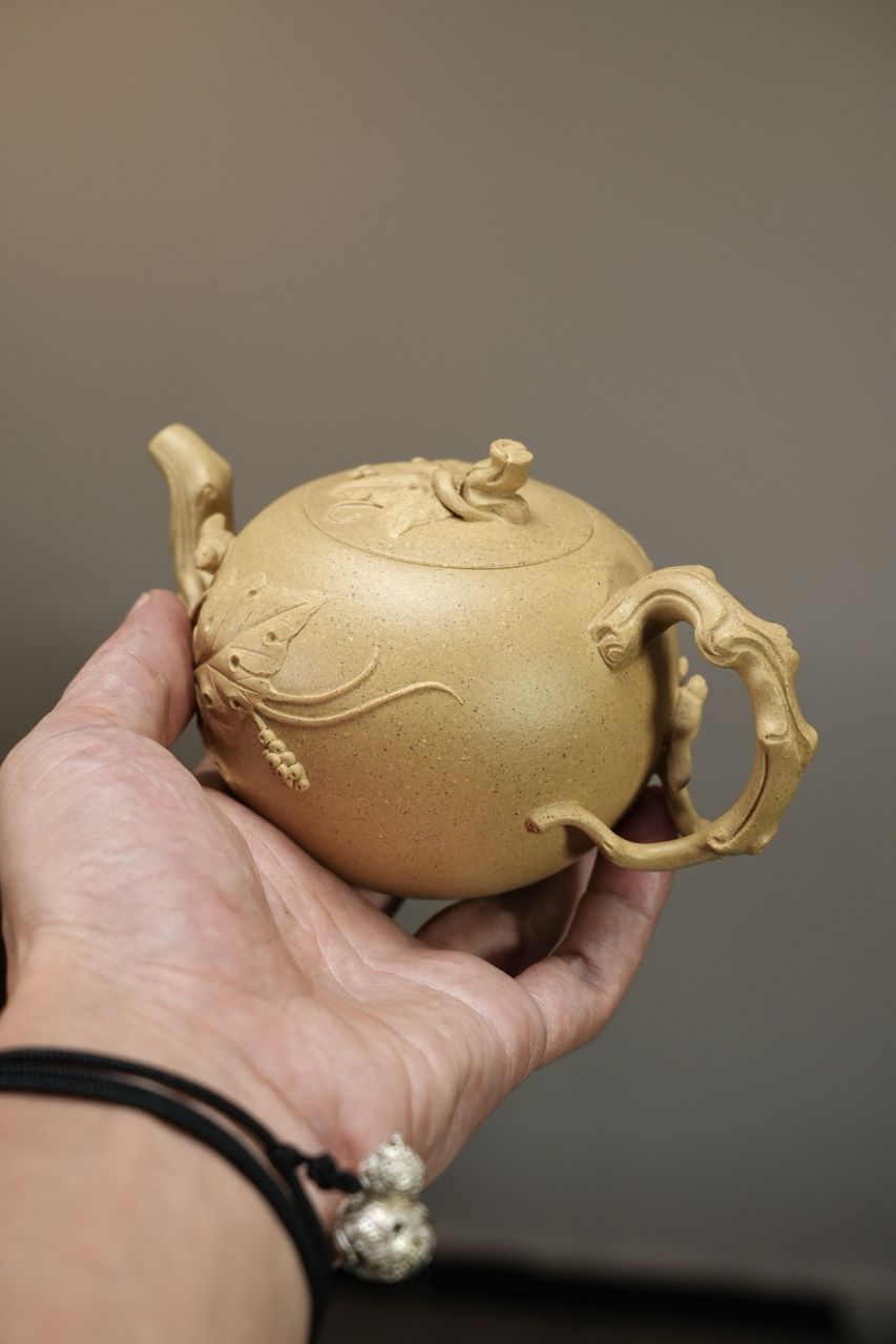 松鼠葡萄 實物圖 3