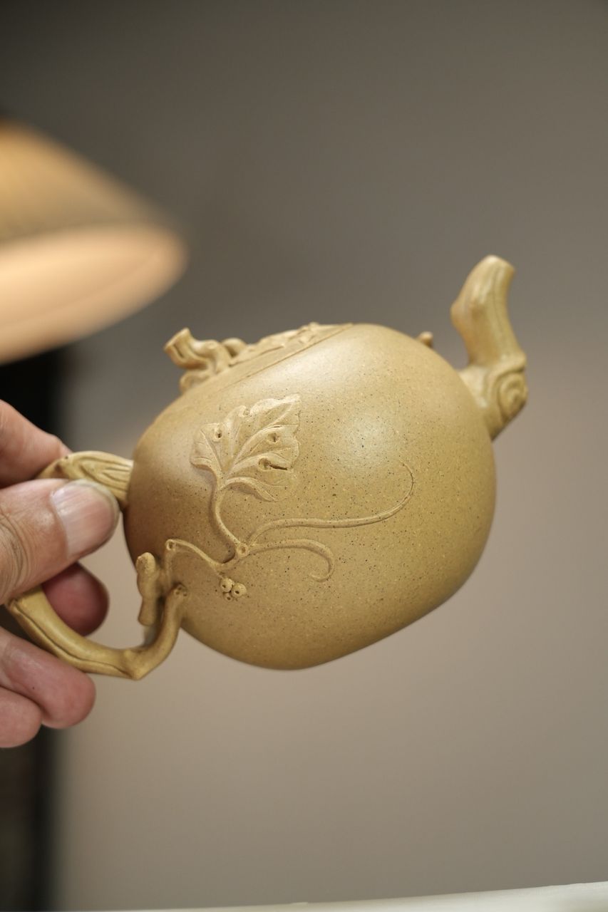 松鼠葡萄 實物圖 4
