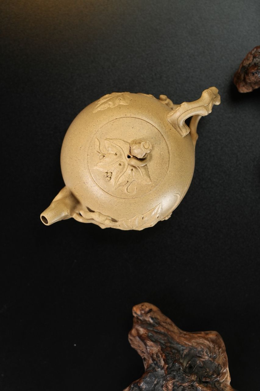 松鼠葡萄 實物圖 5