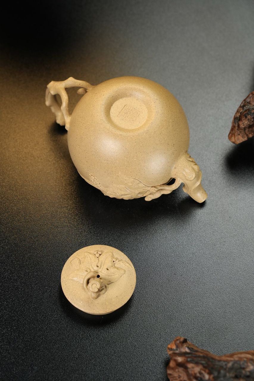 松鼠葡萄 實物圖 9