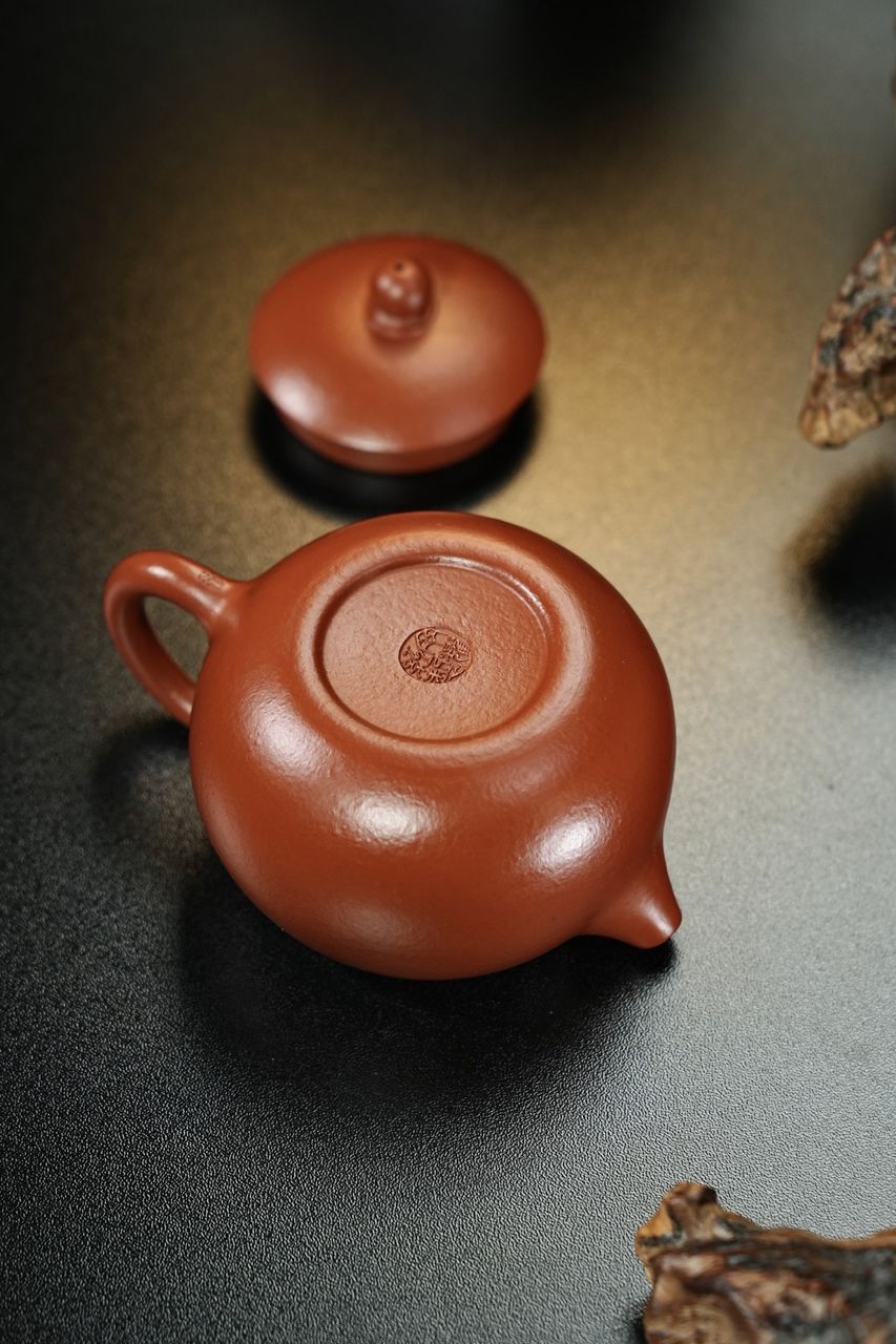 西施 實物圖 9